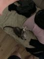 Vorschaubild 3