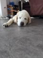 Vorschaubild 6