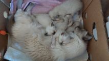 Vorschaubild 7