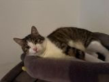Vorschaubild 2