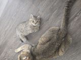 Vorschaubild 8