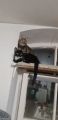 Vorschaubild 6