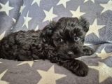 Vorschaubild 2