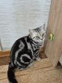 Vorschaubild 9