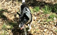 Vorschaubild 3