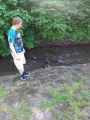 Vorschaubild 9