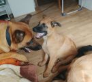 Vorschaubild 10