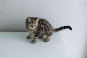 Vorschaubild 9