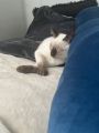 Vorschaubild 5