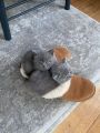 Vorschaubild 6