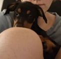 Vorschaubild 1