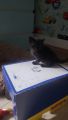 Vorschaubild 10