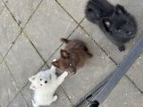 Vorschaubild 5