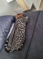 Vorschaubild 9