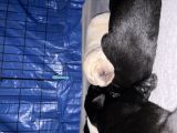 Vorschaubild 5