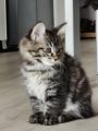 Vorschaubild 8