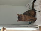 Vorschaubild 5