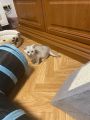 Vorschaubild 3