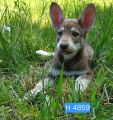 Vorschaubild 7