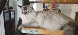 Vorschaubild 9