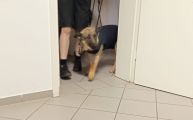 Vorschaubild 1