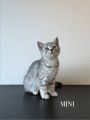 Vorschaubild 6
