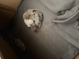 Vorschaubild 6