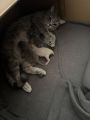 Vorschaubild 7