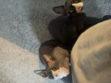 Vorschaubild 3