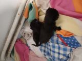 Vorschaubild 5