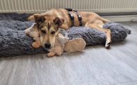 Vorschaubild 3