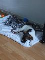 Vorschaubild 2