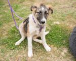 Vorschaubild 5