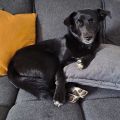 Vorschaubild 2
