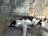 Vorschaubild 3