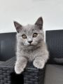 Vorschaubild 5