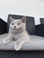 Vorschaubild 3