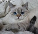 Vorschaubild 6
