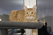Vorschaubild 3