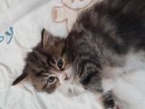 Vorschaubild 6