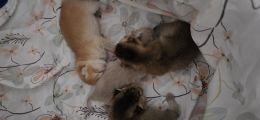 Vorschaubild 3