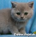 Vorschaubild 8