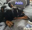 Vorschaubild 5
