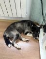 Vorschaubild 10