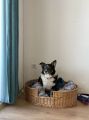 Vorschaubild 6
