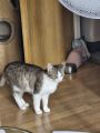 Vorschaubild 2