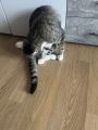 Vorschaubild 4