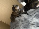 Vorschaubild 8