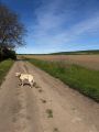 Vorschaubild 2