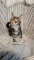 Vorschaubild 10